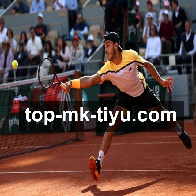 MK体育官方推荐说明：用户口碑汇总与核心功能解析解析